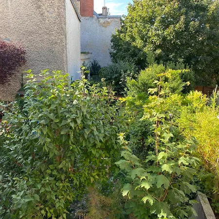 Appartement Rez De Jardin *