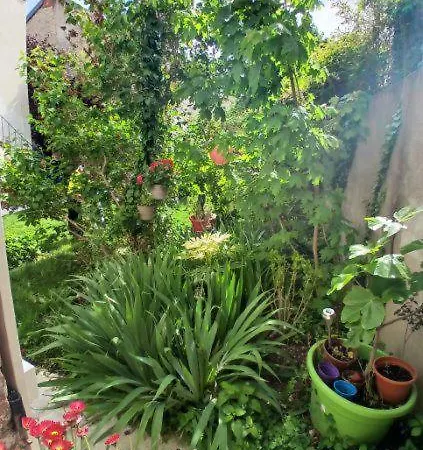 Rez De Jardin 아파트 디종